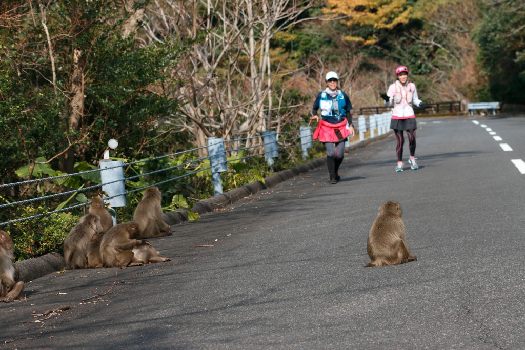 Shinichiro Oshirabe/Executive Chairman of the Yakushima Ultramarathon