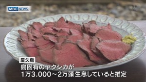 屋久島「ヤクシカ」の肉を住民に振舞う