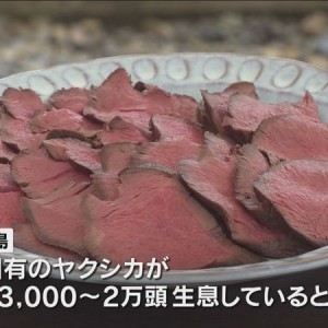 屋久島「ヤクシカ」の肉を住民に振舞う